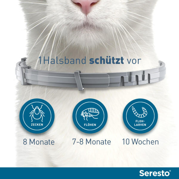 Seresto Halsband für Katzen gegen Zecken und Flöhe, wirkt abtötend und repellierend  bis zu 7-8 Monate